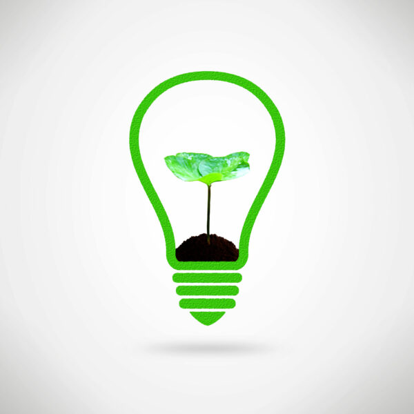 Thomas Vandame - Expert en psycho-éducation et Intervenant en soutien scolaire